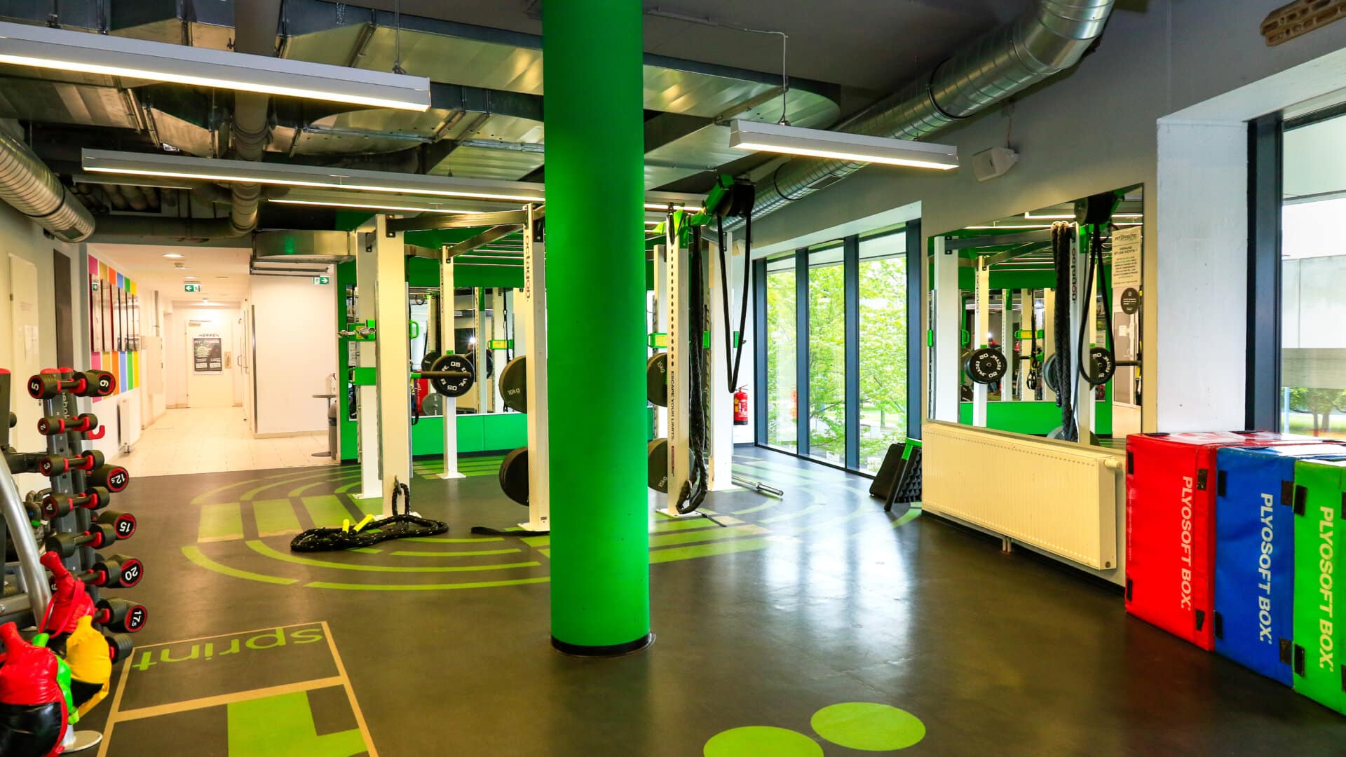Innenraum eines Fitnessstudios mit grünen Säulen, Hanteln, Trainingsgeräten und großen Fenstern